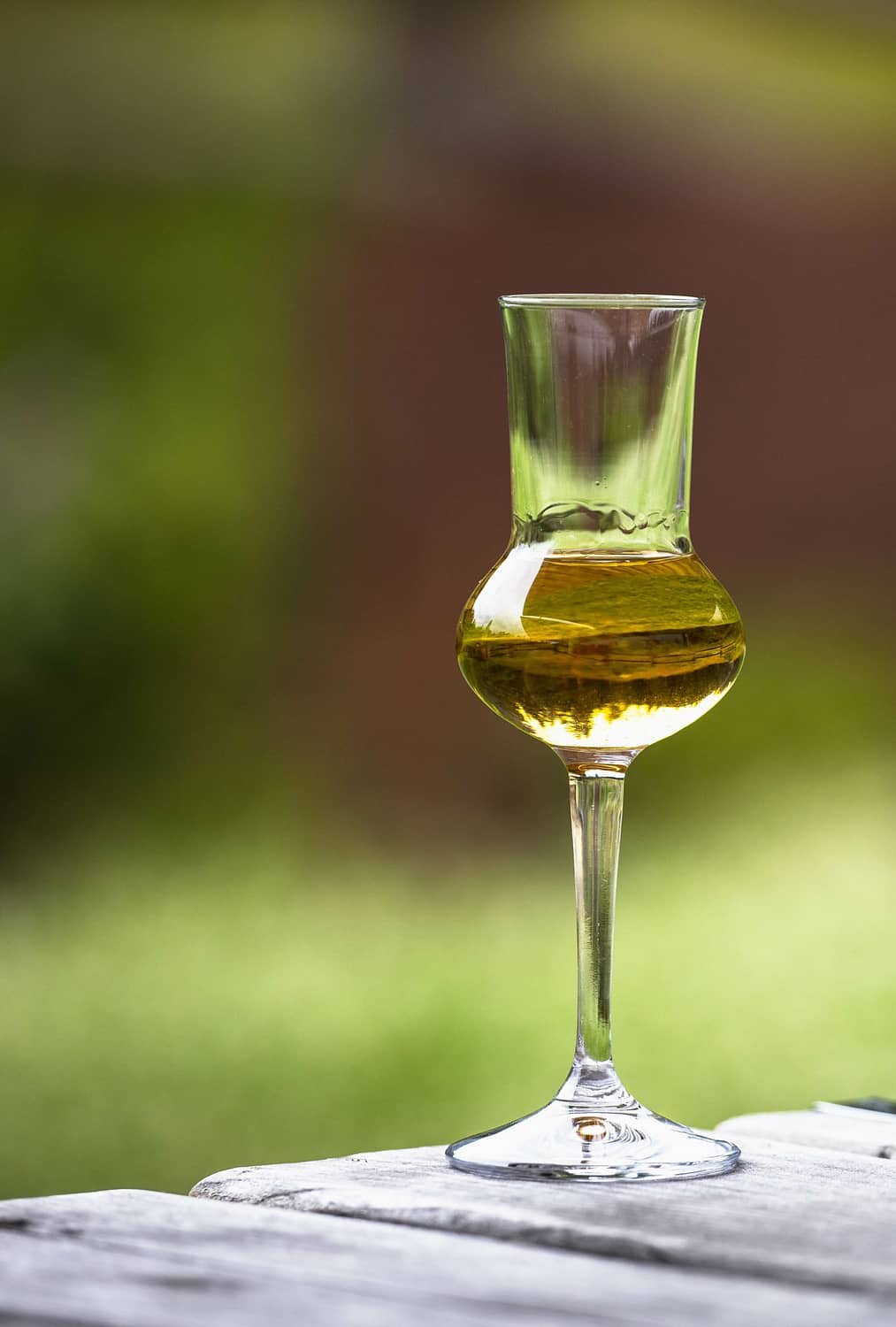 A glass of Gentian flavored Grappa (Schnapps) glasses in Cortina d'Ampezzo, Dolomites, Italy