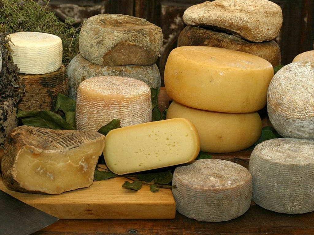 I formaggi romani, tradizione e storia nei prodotti tipici del Lazio
