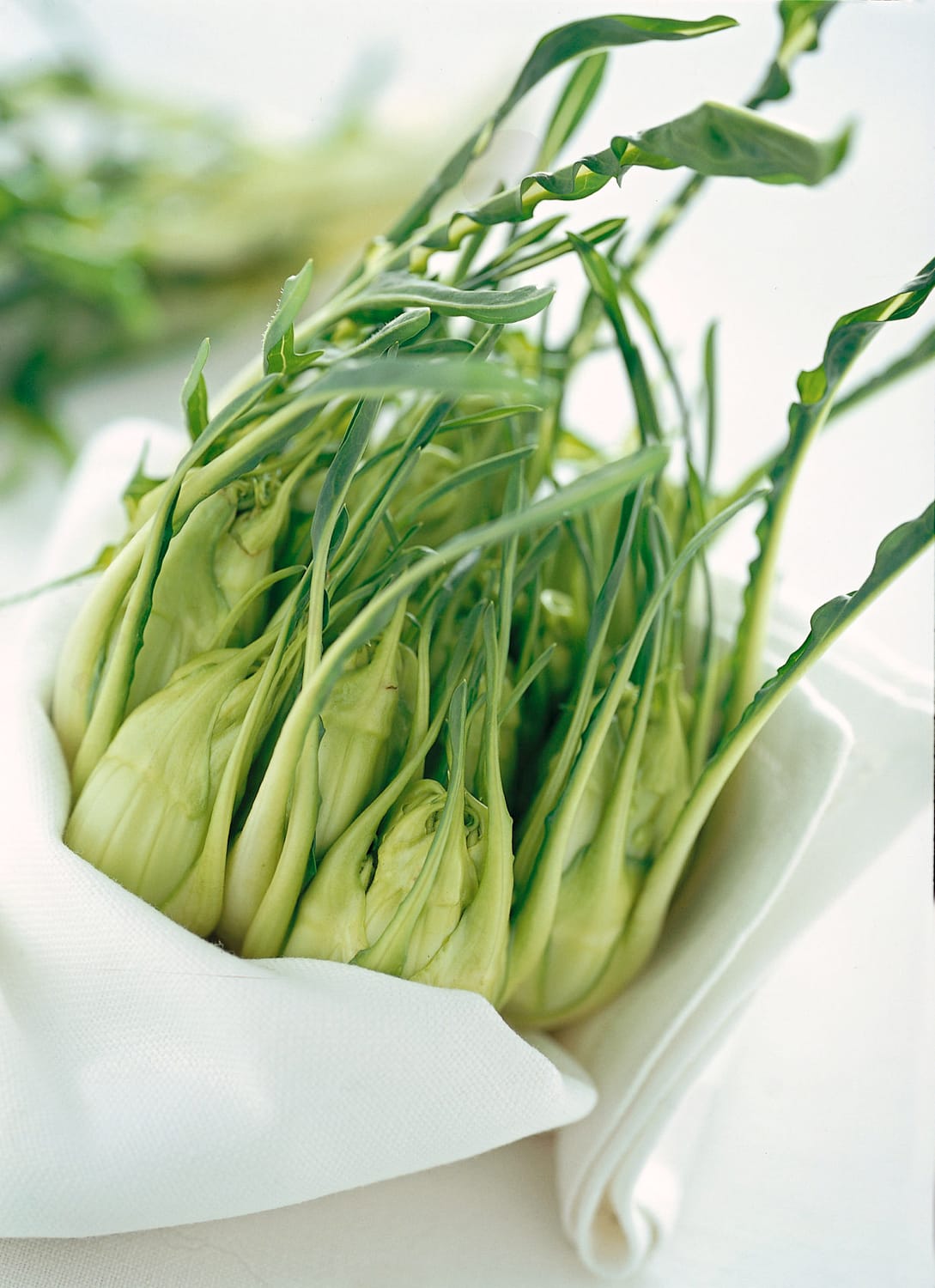 fare-puntarelle