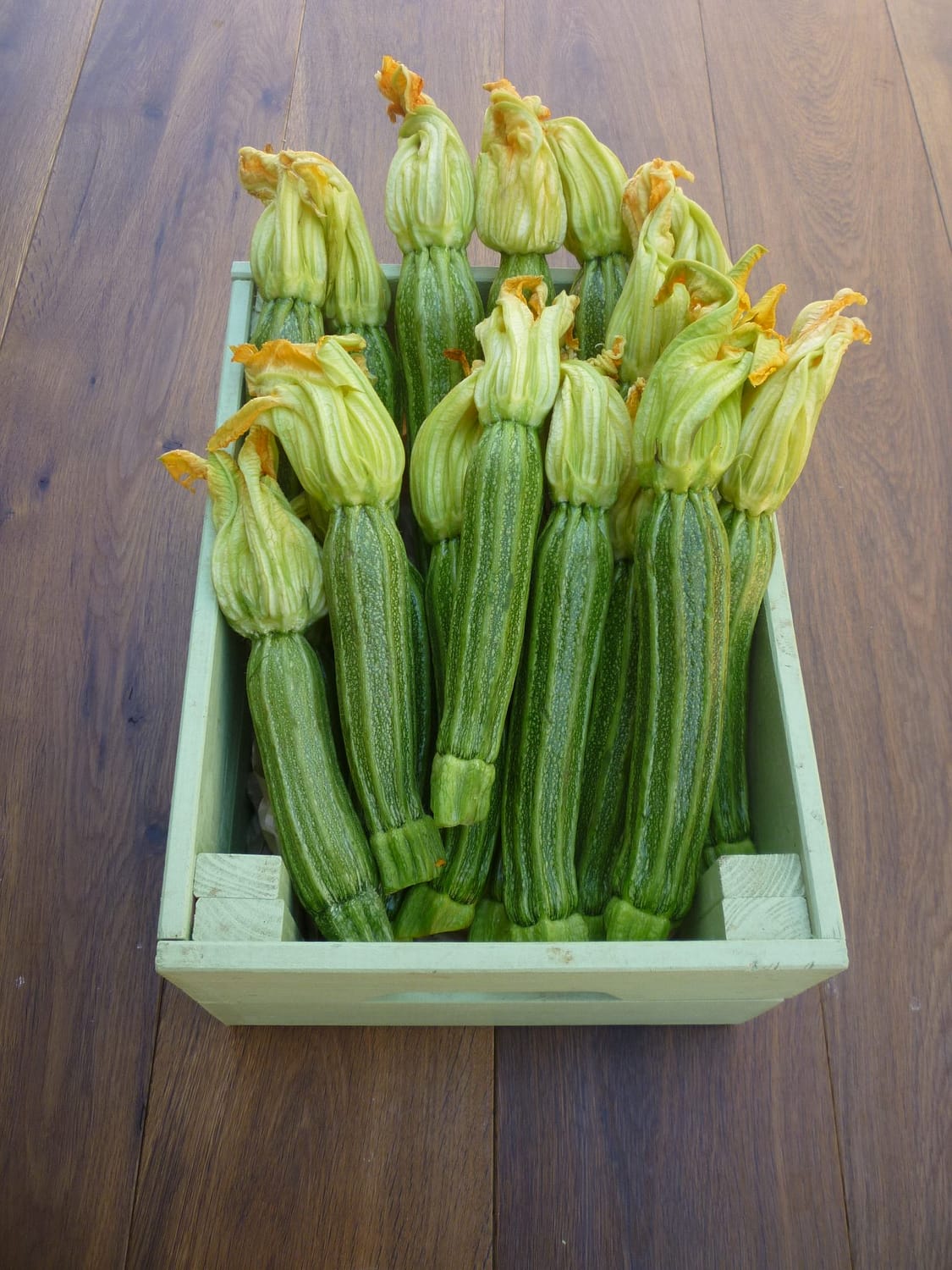 Zucchine-romanesche-e1499204856869