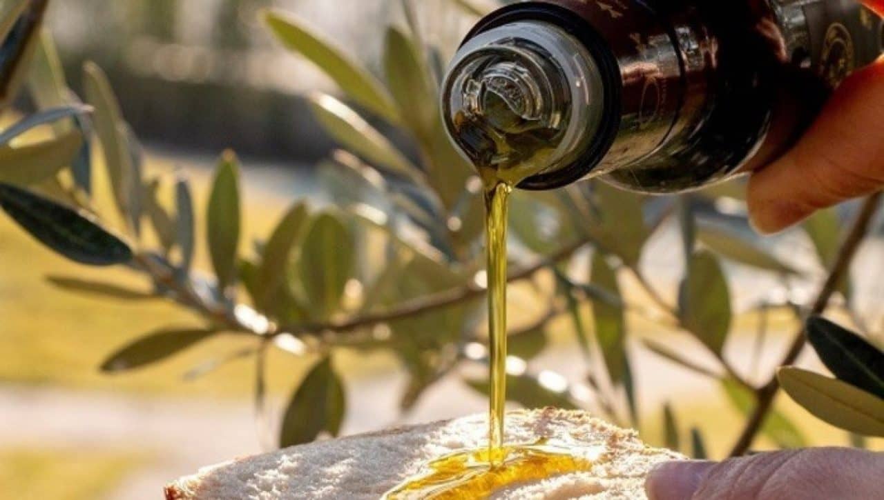 olio romani 2